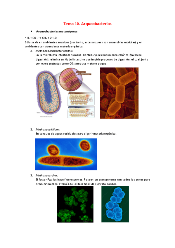 Miniatura del documento Resumen-Bloque-III-Diversidad.pdf