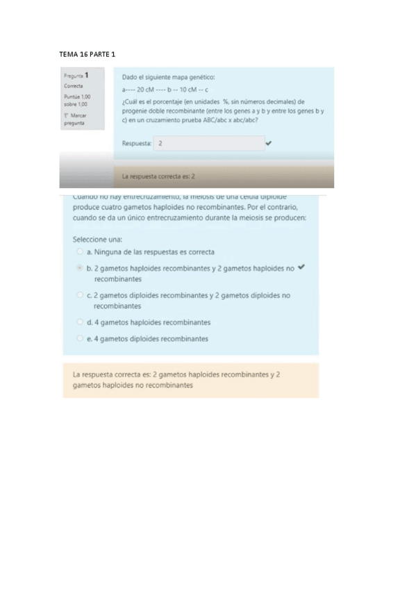 Miniatura del documento TEST-SEGUNDO-CUATRI.pdf