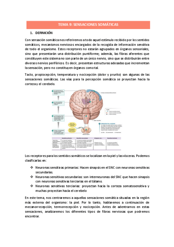 Miniatura del documento TEMA-9.pdf