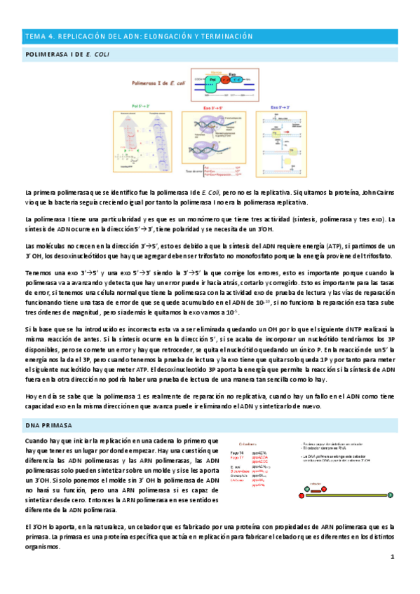 Miniatura del documento Tema-4.pdf