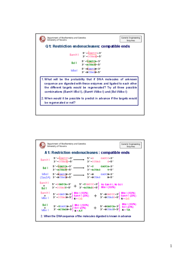 Miniatura del documento UNIT-3-Enzyme-Answers1.pdf