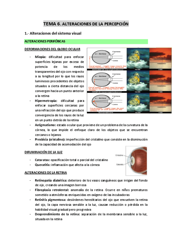 Miniatura del documento TEMA-6-Alteraciones-de-la-percepcion.pdf