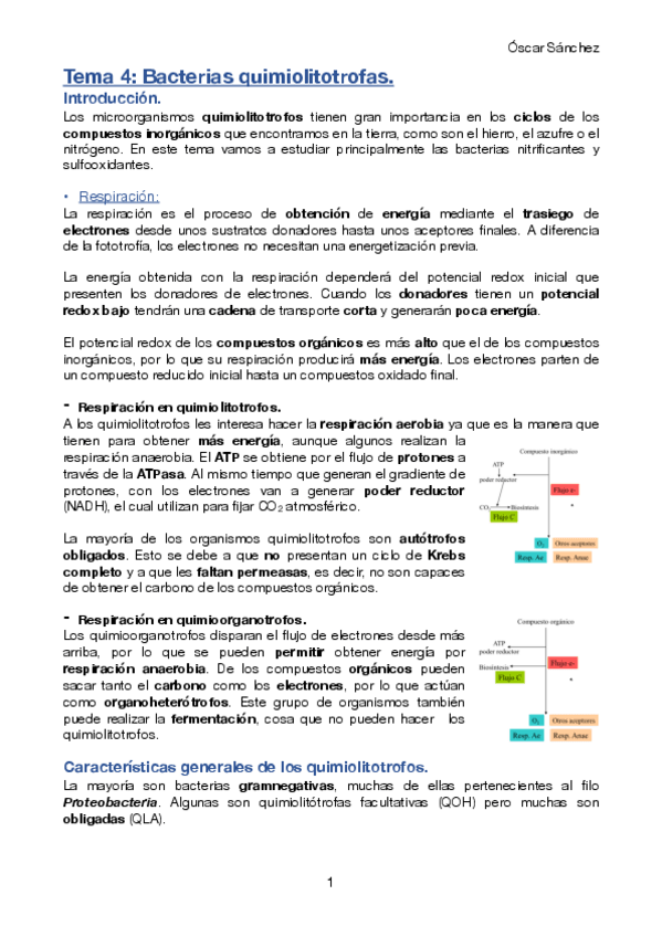 Miniatura del documento Tema-4-Micro-II.pdf