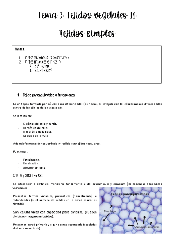 Miniatura del documento tema-3.pdf