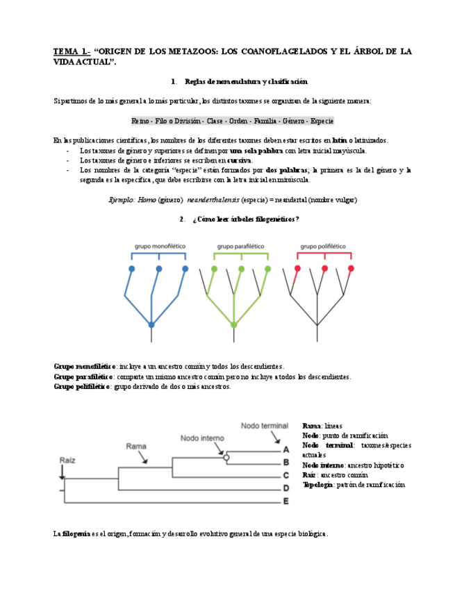 Miniatura del documento T1.pdf