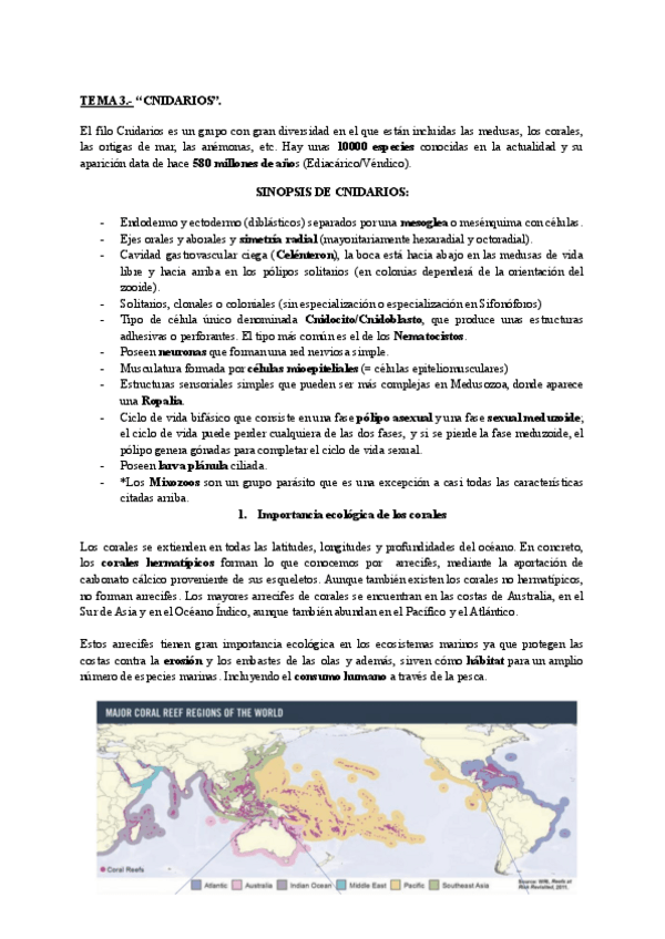 Miniatura del documento T3.pdf