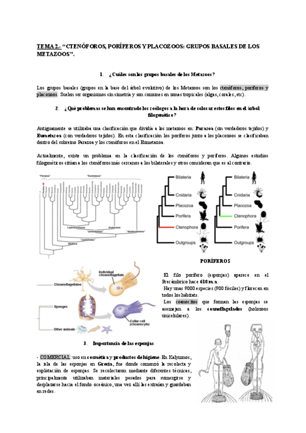 Miniatura del documento T2.pdf