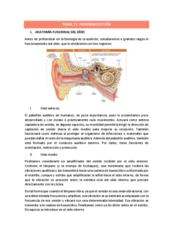 Miniatura del documento TEMA-11.pdf