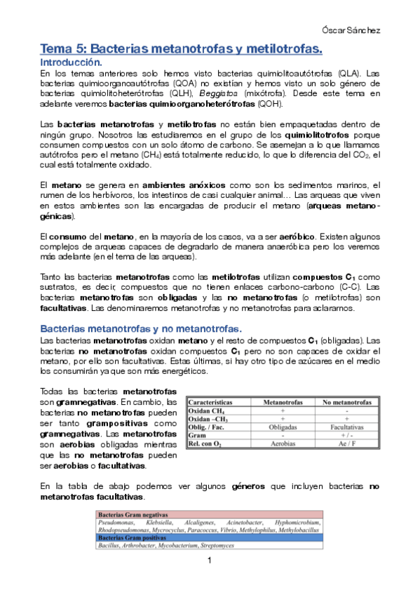 Miniatura del documento Tema-5-Micro-II.pdf