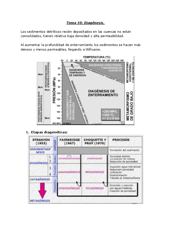 Miniatura del documento T10.pdf