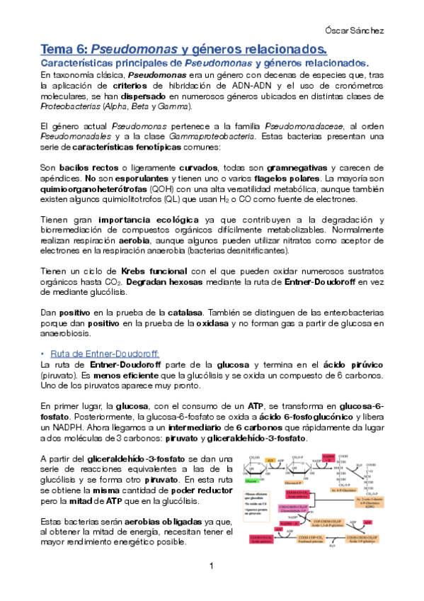 Miniatura del documento Tema-6-Micro-II.pdf