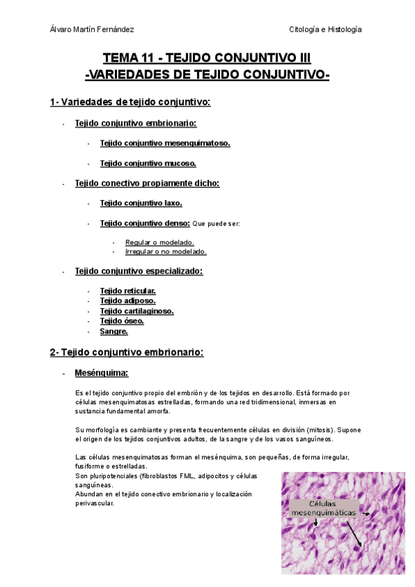 Miniatura del documento TEMA-11-TEJIDO-CONJUNTIVO-III.pdf