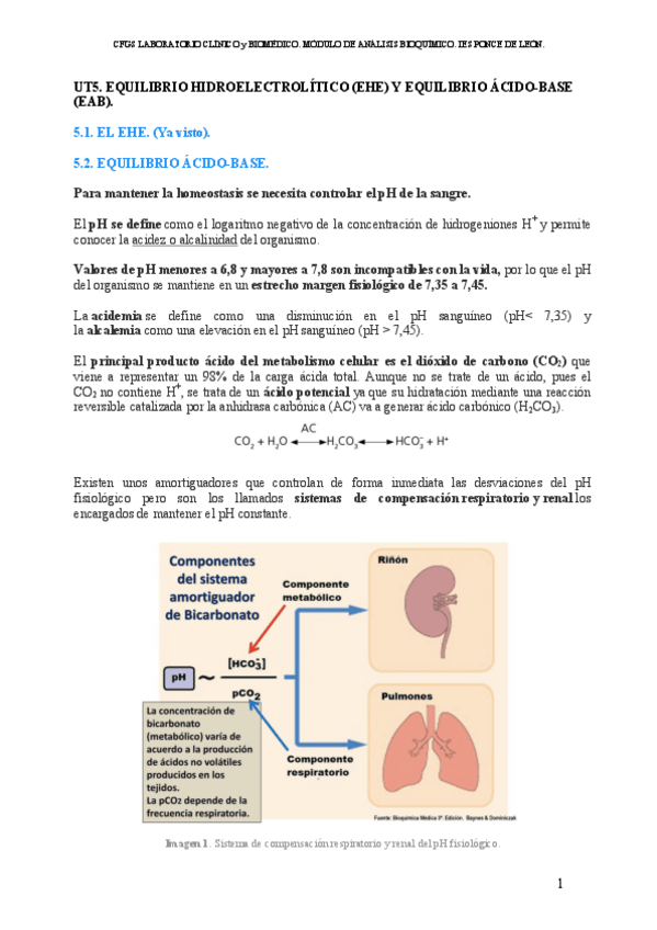 Miniatura del documento EQUILIBRO-ACIDO-BASE.pdf