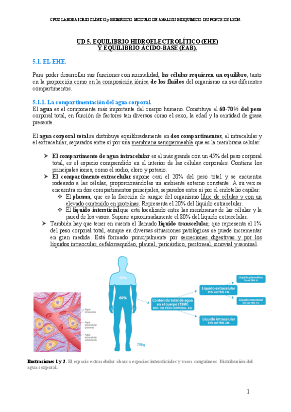 Miniatura del documento EQUILIBRIO-HIDROELECTROLITICO.pdf
