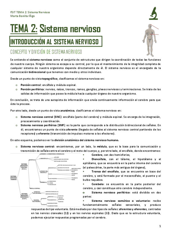 Miniatura del documento FSIT-TEMA-2-SISTEMA-NERVIOSO.pdf