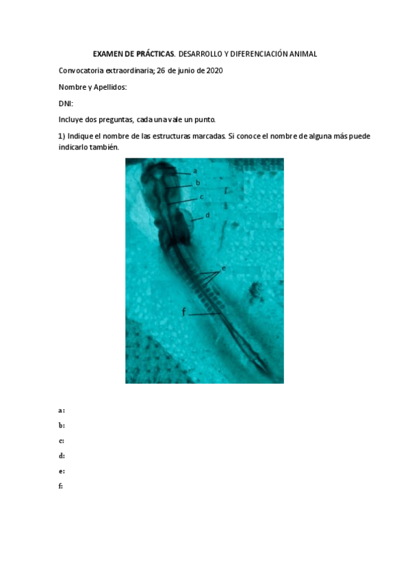 Miniatura del documento Exam-pract-desarrollo-y-diferencioon.pdf