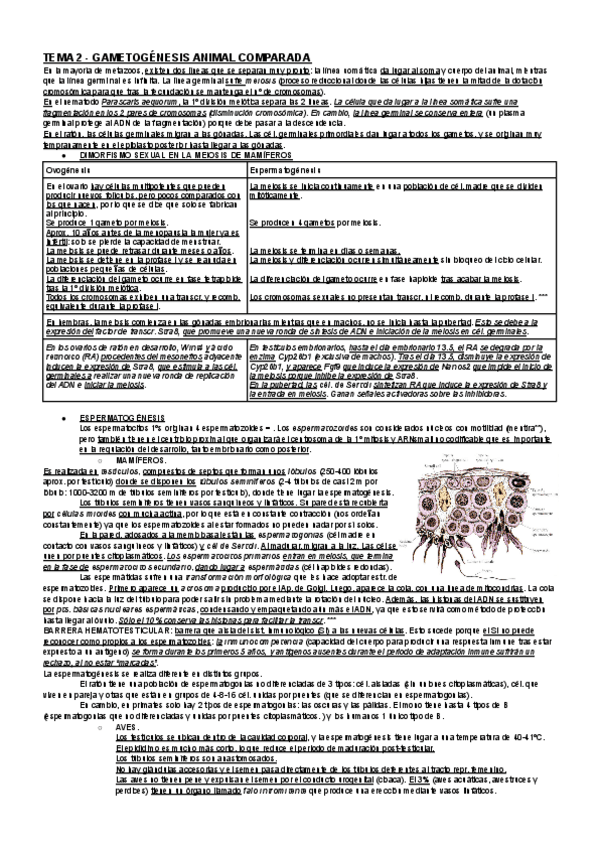 Miniatura del documento RESUMEN-BDES-temas-1-6-1er-parcial.pdf