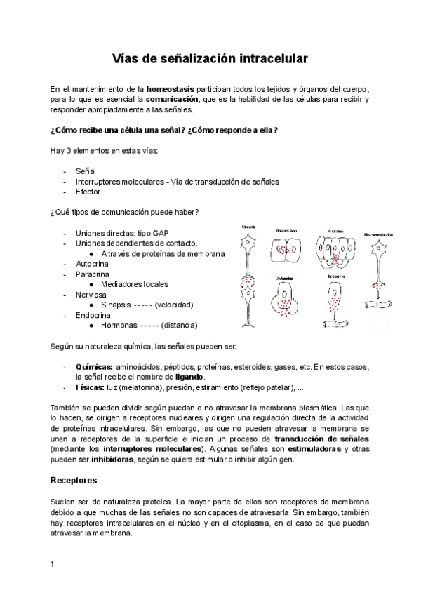 Miniatura del documento Vias-de-senalizacion-intracelular.pdf