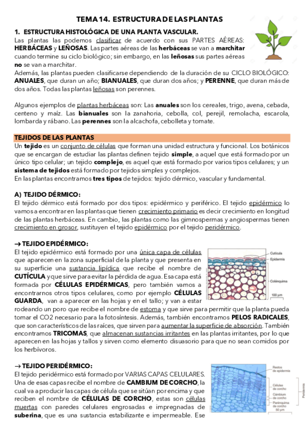 Miniatura del documento TEMA-14.pdf