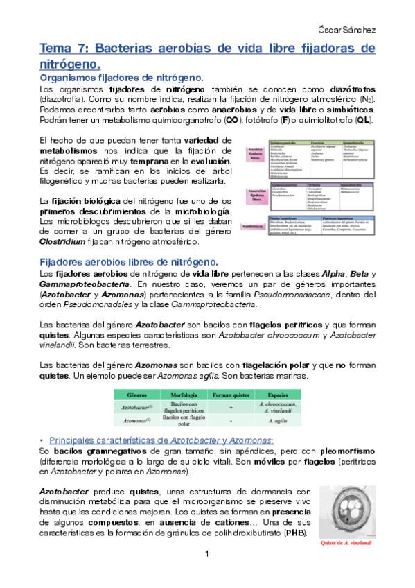 Miniatura del documento Tema-7-Micro-II.pdf