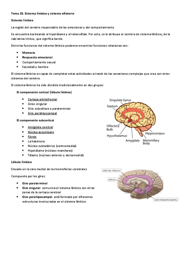 Miniatura del documento Tema-13.pdf