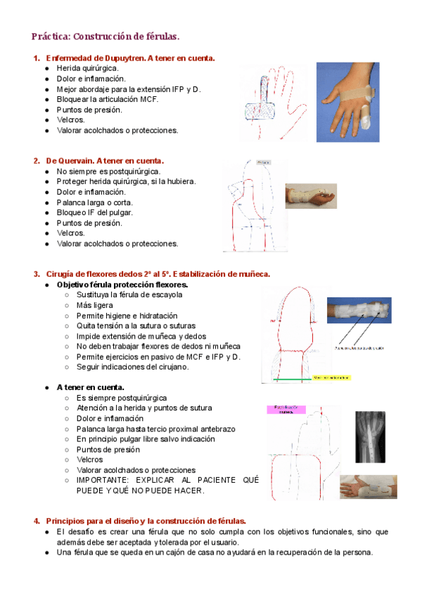 Miniatura del documento Practica-construccion-de-ferulas.pdf