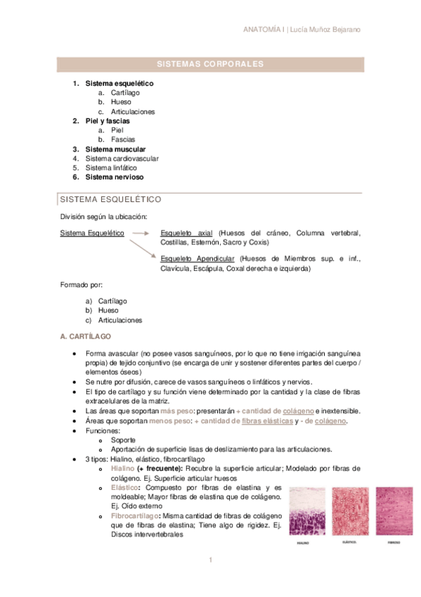 Miniatura del documento T1-SISTEMAS-CORPORALES.pdf