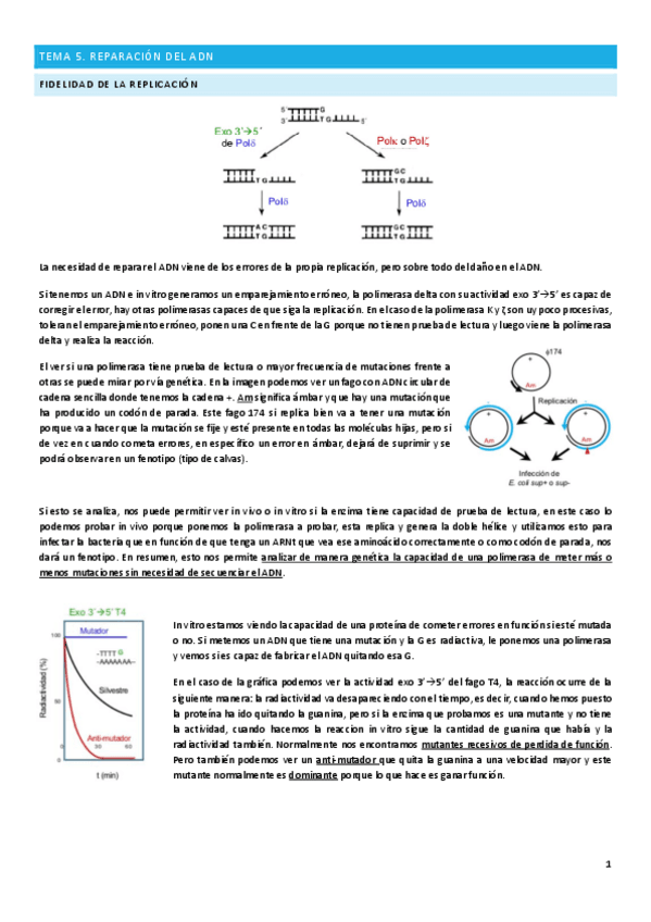 Miniatura del documento Tema-5.pdf