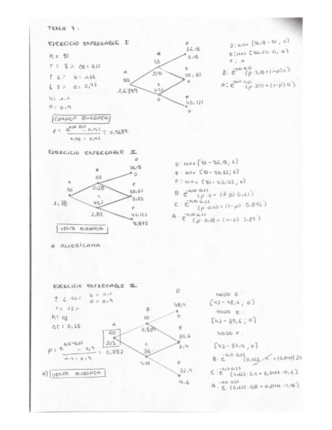 Miniatura del documento EJERCICIOS-ENTREGABLES.pdf