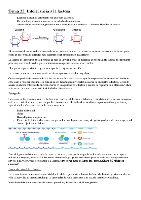 Miniatura del documento Tema-23.pdf
