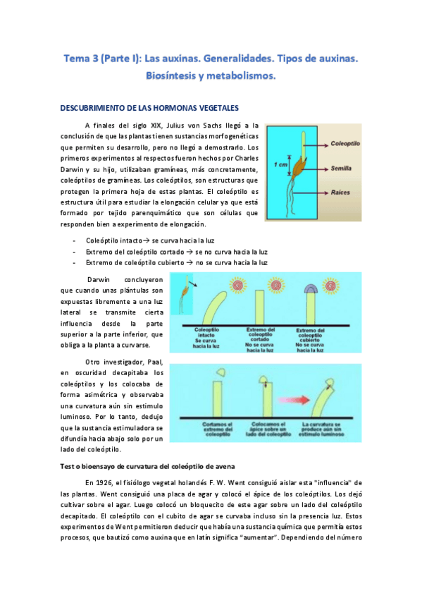 Miniatura del documento Tema-3-F-Vegetal-II.pdf