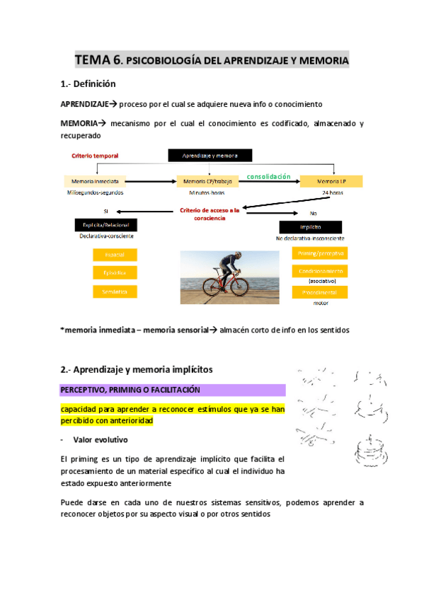 Miniatura del documento TEMA-6-Psicobiologia-del-aprendizaje-y-memoria.pdf