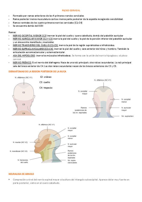 Miniatura del documento 10.pdf