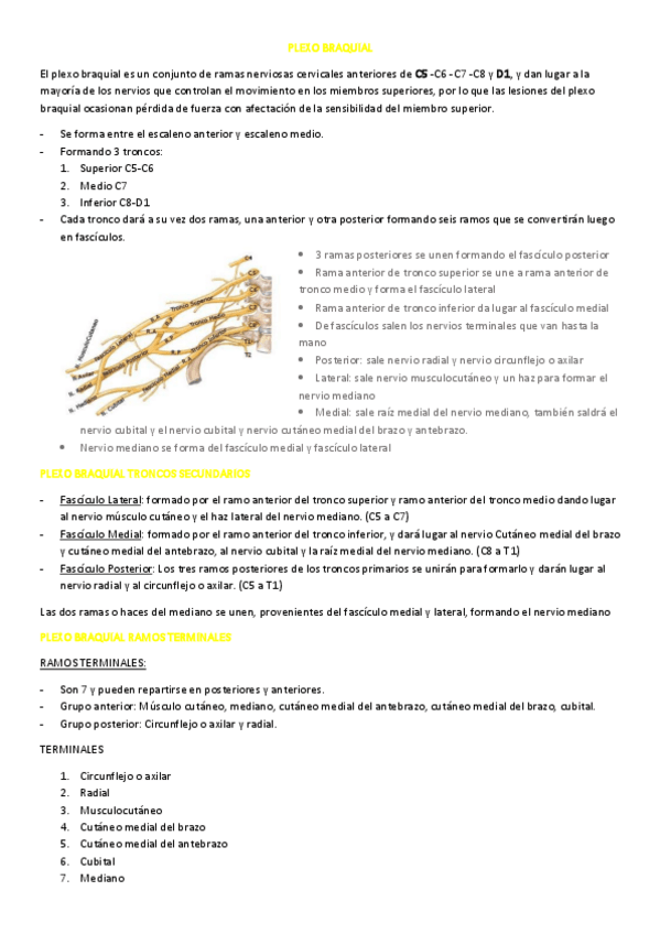 Miniatura del documento 11.pdf