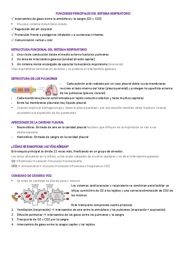 Miniatura del documento 1.pdf