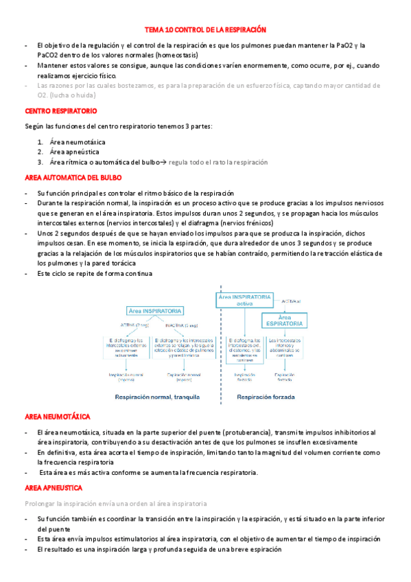 Miniatura del documento TEMA-10-CONTROL-DE-LA-RESPIRACION.pdf