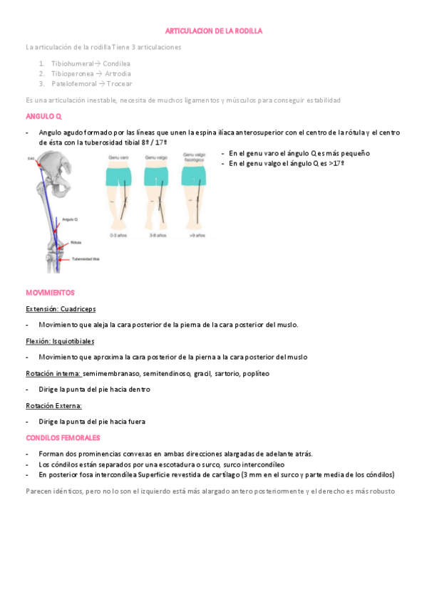 Miniatura del documento ARTICULACION-DE-LA-RODILLA.pdf