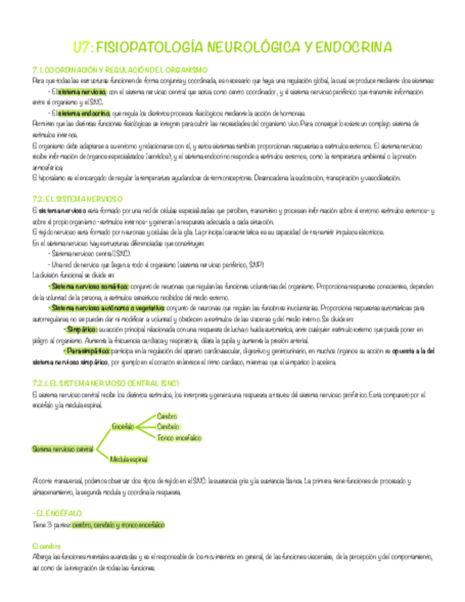 Miniatura del documento Fisiopatologia-Neurologica-Y-Endocrina-.pdf