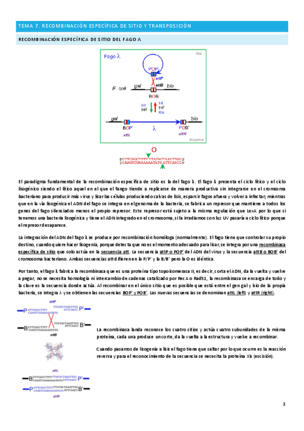 Miniatura del documento Tema-7.pdf