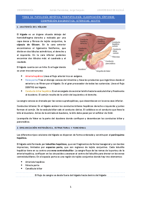 Miniatura del documento Tema-16-patologia-hepatica.pdf