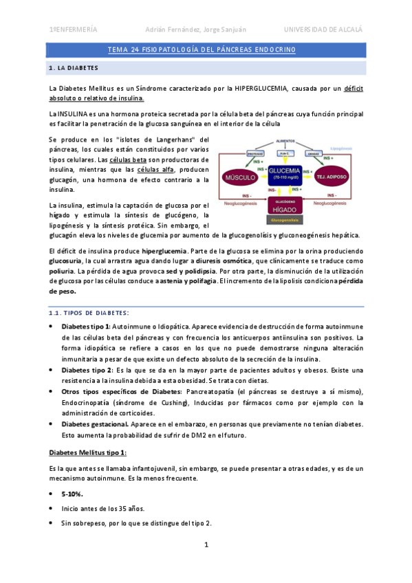 Miniatura del documento Tema-24-Pancreas-endocrino.pdf