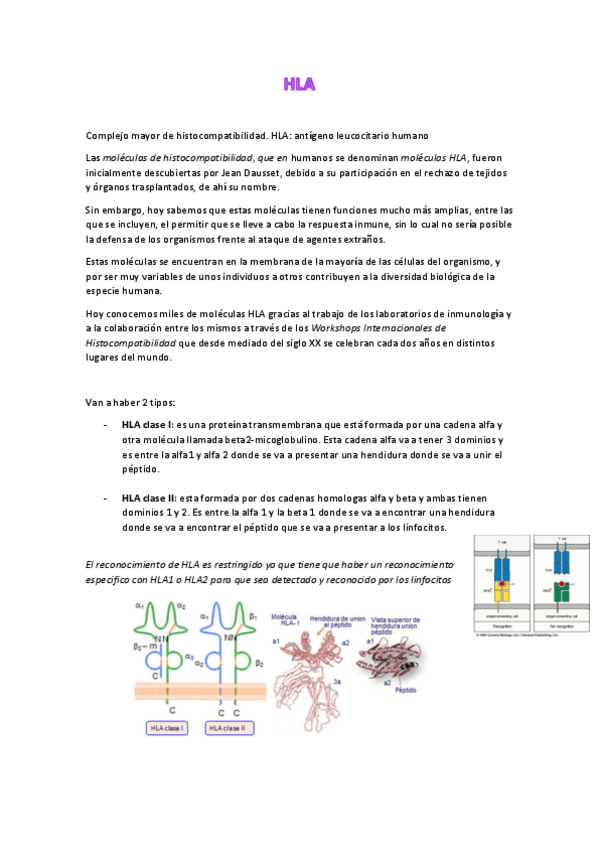 Miniatura del documento Tema-6.HLA