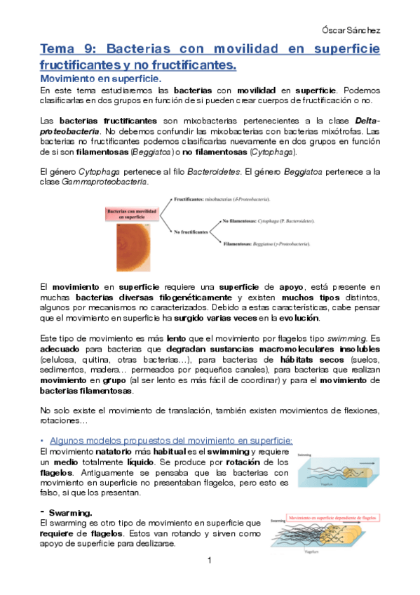 Miniatura del documento Tema-9-Micro-II.pdf