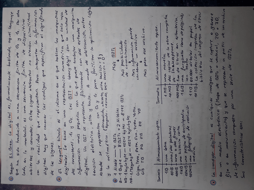 Miniatura del documento 2.jpg