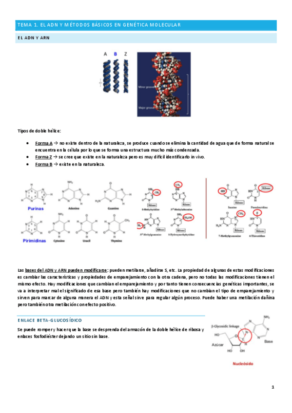 Miniatura del documento Temas-primer-parcial-1-7.pdf