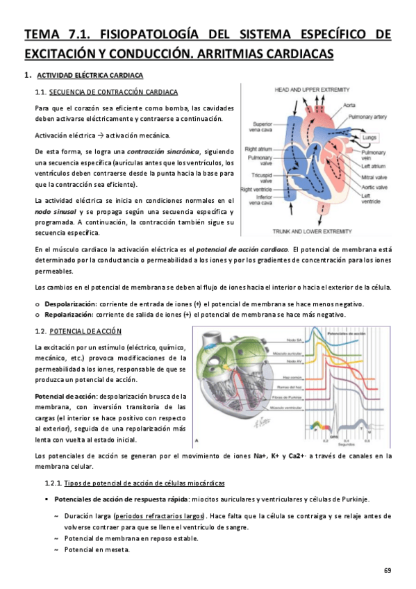 Miniatura del documento BLOQUE-I-CARDIOLOGIA-MEDICA-ARRITMIAS-CARDIACAS.pdf