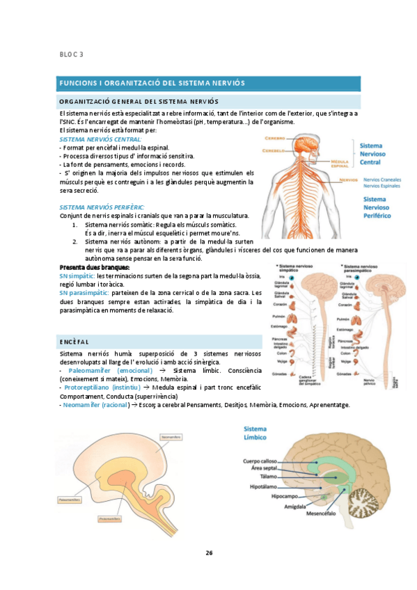Miniatura del documento BLOC-3.pdf