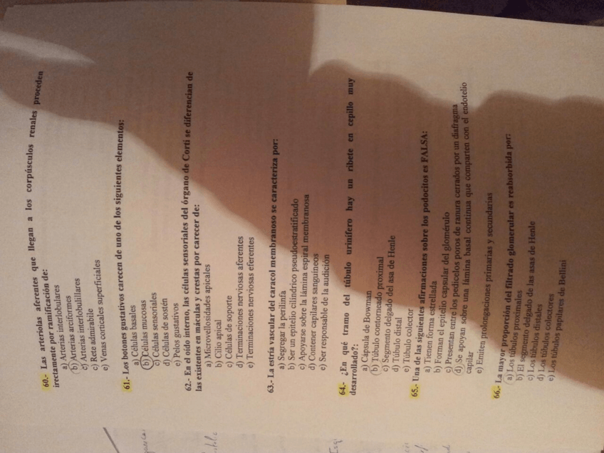 Miniatura del documento IMG-20150121-WA0003.jpg