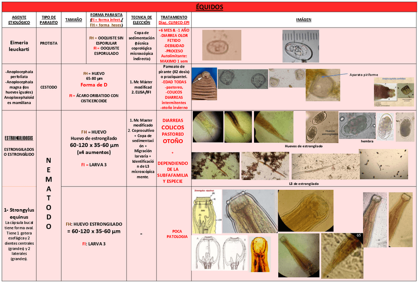 Miniatura del documento TABLA-COMPLETA.pdf