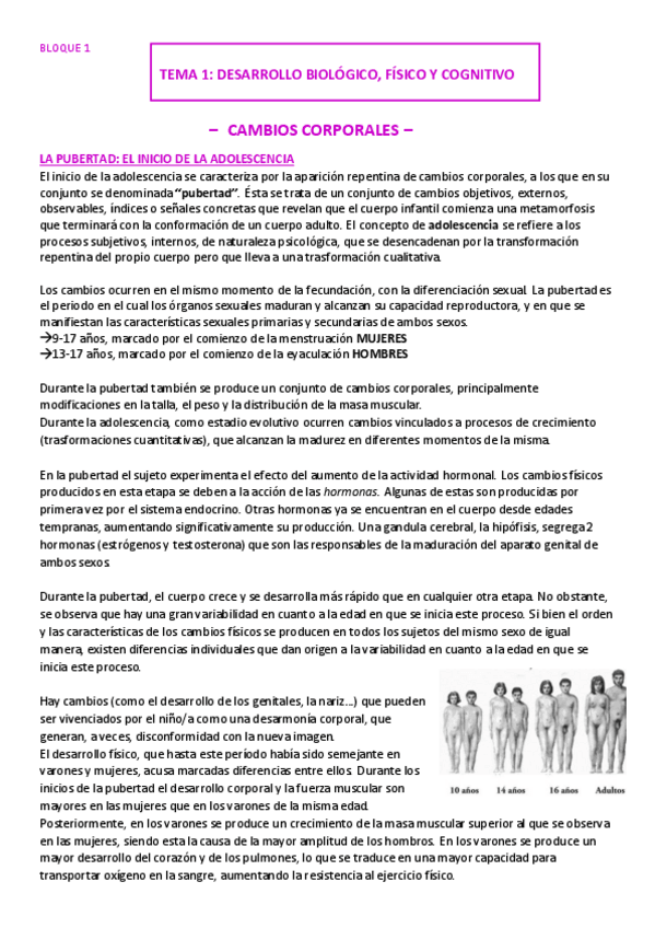 Miniatura del documento TEMA-1-miooo.pdf